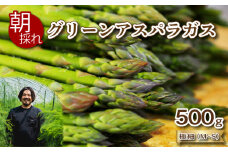 【先行予約 】 アスパラガス 500g 極細サイズ 朝採れ M~S 大容量 アスパラ 有機肥料使用 サイズ混合 訳あり セット 野菜 新鮮 夕飯 おかず お弁当 新鮮アスパラ 秀吉農園 菊川町 下関 山口 【2025年7月より発送】