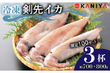 【 100セット 限定 】【 寄附金額変更中 】 イカ 剣先イカ 約 700g ~ 800g 冷凍 いか 3杯 お刺身用 生食可能 ケンサキイカ おいしい 剣先いか 急速  冷凍 直送 CAS凍結 イカ 新鮮 海産物 山口県産 ご飯 蟹屋 KNY-KE01-sp 下関 山口 【 14営業日以内発送 】