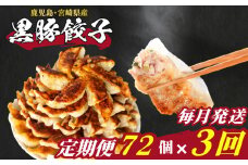 訳あり 黒豚餃子 3回 毎月 定期便 72個 12個×6パック 冷凍 小分け たれ付き 大容量 ぎょうざ ギョウザ ギョーザ