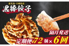 訳あり 黒豚餃子 6回 隔月 定期便 72個 12個×6パック 冷凍 小分け たれ付き 大容量 ぎょうざ ギョウザ ギョーザ