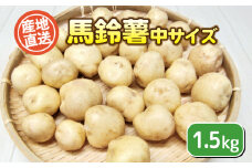 訳あり じゃがいも 馬鈴薯 中サイズ 1.5kg ( ジャガイモ ばれいしょ 芋 ポテト 野菜 フードロス 不揃い 産地直送 ) 下関 山口