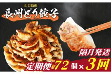 訳あり 長州どり餃子 3回 隔月 定期便 72個 12個×6パック 冷凍 小分け 大容量 ぎょうざ ギョウザ ギョーザ