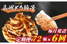 訳あり 長州どり餃子 6回 毎月 定期便 72個 12個×6パック 冷凍 小分け 大容量 ぎょうざ ギョウザ ギョーザ