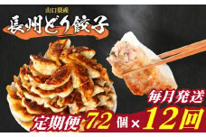 訳あり 長州どり餃子 12回 毎月 定期便 72個 12個×6パック 冷凍 小分け 大容量 ぎょうざ ギョウザ ギョーザ