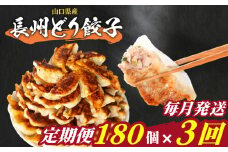 訳あり 長州どり餃子 3回 毎月 定期便 180個 12個×15パック 冷凍 小分け 大容量 ぎょうざ ギョウザ ギョーザ