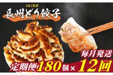 訳あり 長州どり餃子 12回 毎月 定期便 180個 12個×15パック 冷凍 小分け 大容量 ぎょうざ ギョウザ ギョーザ