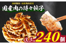訳あり 国産肉の得々餃子 240個 20個×12パック 冷凍 小分け 日指定可 たれ付き 大容量 ぎょうざ ギョウザ ギョーザ