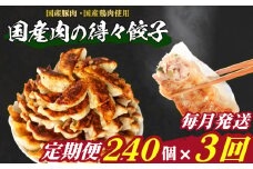 訳あり 国産肉の得々餃子 3回 毎月 定期便 240個 20個×12パック 冷凍 小分け たれ付き 大容量 ぎょうざ ギョウザ ギョーザ