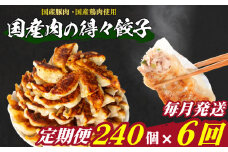 訳あり 国産肉の得々餃子 6回 毎月 定期便 240個 20個×12パック 冷凍 小分け たれ付き 大容量 ぎょうざ ギョウザ ギョーザ