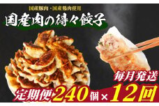 訳あり 国産肉の得々餃子 12回 毎月 定期便 240個 20個×12パック 冷凍 小分け たれ付き 大容量 ぎょうざ ギョウザ ギョーザ