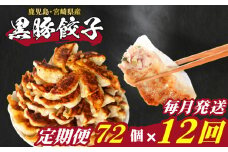 訳あり 黒豚餃子 12回 毎月 定期便 72個 12個×6パック 冷凍 小分け たれ付き 大容量 ぎょうざ ギョウザ ギョーザ