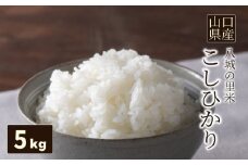 【先行予約】【1回お届け】こしひかり 精米 5kg