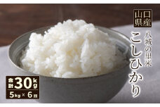 【先行予約】【定期便 6ヶ月】こしひかり 精米 5kg 計30kg