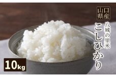 【先行予約】【1回お届け】こしひかり 精米 10kg