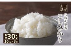 【先行予約】【定期便 3ヶ月】こしひかり 精米 10kg 計30kg