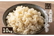 【先行予約】【1回お届け】こしひかり 玄米 10kg