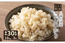 【先行予約】【定期便 3ヶ月】こしひかり 玄米 10kg 計30kg