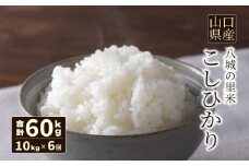 【先行予約】【定期便 6ヶ月】こしひかり 精米 10kg 計60kg