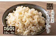 【先行予約】【定期便 6ヶ月】こしひかり 玄米 10kg 計60kg