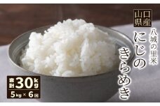 【先行予約】【定期便 6ヶ月】にじのきらめき 精米 5kg  計30kg