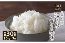【先行予約】【定期便 3ヶ月】にじのきらめき 精米 10kg 計30kg