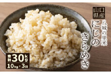【先行予約】【定期便 3ヶ月】にじのきらめき 玄米 10kg 計30kg