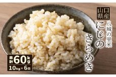 【先行予約】【定期便 6ヶ月】にじのきらめき 玄米 10kg  計60kg