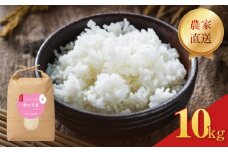 【先行予約】 令和7年度米  恋の予感 精米 10kg 