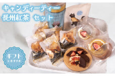 キャンディーティー 長州紅茶 セット  ( ドライフルーツ りんご みかん オレンジ フルーツ 果物 くだもの 紅茶 詰め合わせ ギフト プレゼント ) 下関 山口