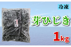 芽ひじき 1kg