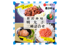 【9/30まで寄附額改定】 明太子 計 600g 辛子明太子 切れ子 昆布明太子 いか明太子 各 200g セット めんたいこ いかめんたい きれ子 ご飯 お供 蟹屋 KNY-ME-200gmix-09sp 下関 山口
