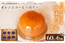 オレンジコーヒーゼリー 60g×6 ( 果物 くだもの フルーツ 柑橘 みかん 清末みかん スイーツ デザート おやつ ゼリー フルーツゼリー コーヒー 珈琲 自家焙煎 コク 甘さ 酸味 プレゼント ギフト 贈り物 贈答 お中元 お歳暮 記念日 父の日 母の日 ) お菓子工房 幸ふく ウミノネコーヒー 下関 山口