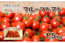 【 1月発送 】 フルーツトマト フルティカ 1.5kg ミニトマト 選べる 発送 月 野菜 新鮮 プチトマト 期間限定 季節限定 トマト 下関 山口
