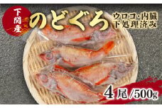 のどぐろ 中 サイズ 4尾 高級 魚 鮮魚 海鮮 冷凍 アカムツ 下処理 済 下関 山口