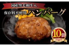 ハンバーグ 1kg 100g × 10個 ( 黒毛和牛 関門ポーク 牛肉 豚肉 冷凍 国産 保存料 不使用 ビーフ ポーク ジューシー お弁当 おかず 惣菜 晩ごはん ) 下関 山口