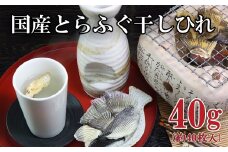 国産 とらふぐ 干し ひれ 20g 2パック フグ 河豚 とらふぐ 日本酒 酒 お酒 おつまみ 下関 山口