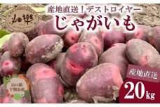 じゃがいも 20kg デストロイヤー 【2026年1月以降順次発送】 旬のお野菜お届け 産地直送 野菜 農家直送 季節限定 芋 いも 露地野菜 やさい サラダ コロッケ ジャーマンポテト じゃがバター ポテトサラダ 有機 季節の野菜 ～食と子供と未来のために～～食卓に笑顔と彩りを～ 農薬 化学肥料 不使用 下関 山口