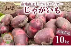 じゃがいも 10kg デストロイヤー 【2026年1月以降順次発送】 旬のお野菜お届け 産地直送 野菜 農家直送 季節限定 芋 いも 露地野菜 やさい サラダ コロッケ ジャーマンポテト じゃがバター ポテトサラダ 有機 季節の野菜 ～食と子供と未来のために～～食卓に笑顔と彩りを～ 農薬 化学肥料 不使用 下関 山口