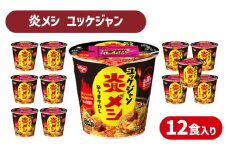 日清 炎メシ ユッケジャン 12食 入り ( 辛うま 辛い 唐辛子 コチュジャン インスタント 時短 簡単調理 非常食 備蓄 常温 大容量 保存 長期保存 即席 日清食品 ) 下関 山口