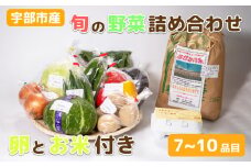 宇部産のお米と野菜 ＜楠こもれびの郷「楠四季菜市」＞【新鮮野菜 宇部市産 季節野菜 詰合せ 直送   野菜セット 旬の野菜 地元産 新鮮食品 野菜ボックス】