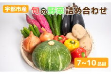 新鮮野菜の産直 ＜楠こもれびの郷「楠四季菜市」＞【新鮮野菜 宇部市産 季節野菜 詰合せ 直送 野菜セット 旬の野菜 地元産 新鮮食品 野菜ボックス】