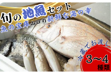 【魚千代】地魚詰合せ 【魚介類 詰め合わせ 旬の鮮魚 3-4種セット 山口県 新鮮魚 魚千代 内臓処理済み クール便 下処理済み 料理用 高品質 海の幸 お取り寄せ 贈答用 プレゼント 魚の宝庫 食材セット 鮮度抜群 美味しい 調理便利】
