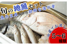 【魚千代】魚介類詰め合わせ 【魚介類 詰め合わせ 旬の鮮魚 5-6種セット 山口県 新鮮魚 魚千代 内臓処理済み クール便 下処理済み 料理用 高品質 海の幸 お取り寄せ 贈答用 プレゼント 魚の宝庫 食材セット 鮮度抜群 美味しい 調理便利】