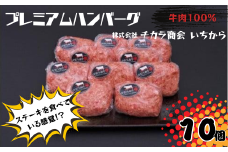 プレミアムハンバーグ １０個【ハンバーグ プレミアムハンバーグ 冷凍 高級 お肉料理 簡単調理 美味しいハンバーグ 国産牛】