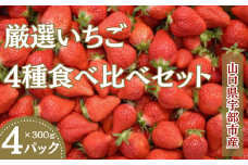 (先行予約）いちご４品種 食べ比べ セット 300ｇ×4パック 　【山口県 宇部市 旬 いちご ４品種  食べ比べ  ナチュラルファーム 苺 農園 果物 くだもの 甘い フルーツ スイーツ プレゼント ギフト 】