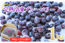 完熟 冷凍 ブルーベリー1kg 500g×2  ブルーベリー 完熟 冷凍ブルーベリー 急速 冷凍 新鮮 人気 小分け パック 1kg  フルーツ 果物 冷凍フルーツ 山口県 宇部市