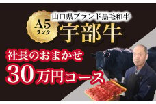 【山口宇部牛】社長おまかせ＜３０万円コース＞黒毛和牛Ａ５ランク宇部牛【山口宇部牛 社長おまかせ 30万円コース 黒毛和牛 A5ランク 宇部の特産品 ストレスフリー育成 オレイン酸含有量 上質な肉質 県外の有名デパート 関東の銘店 関西の銘店 高級肉 特選肉 宇部市産 肉のプレゼント 飲食店の指名品 安心安全な肉 高級食材 地元の誇り】