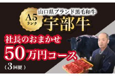 【山口宇部牛】社長おまかせプレミアム定期便【３回便】＜５０万円コース＞黒毛和牛Ａ５ランク宇部牛【山口宇部牛 社長おまかせプレミアム定期便 50万円コース 黒毛和牛 A5ランク 宇部の特産品 ストレスフリー育成 オレイン酸含有量 上質な肉質 県外の有名デパート 関東の銘店 関西の銘店 高級肉 特選肉 定期購入 肉のプレゼント 飲食店の指名品 安心安全な肉 プレミアム肉 地元の誇り】