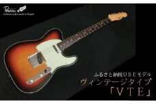 老舗ギターメーカー【プロビジョンギター】オリジナル　エレキギターVTE【山口県 老舗ギターメーカー プロビジョンギター オリジナル エレキギター VTE 選べるカラー オリジナルピックアップ ギター エレキ ベース ヴィンテージタイプ カスタムギター 職人 熟練 ８か月 音楽 バンド ミュージシャン ライブ ふるさと納税 UBEモデル ヴィンテージレスポールタイプ】