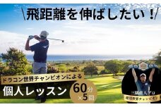 ドラコン現役世界チャンピオン“三隅直人プロ”による飛距離アップレッスン！60分（マンツーマンゴルフレッスン）×５回分【ゴルフ 飛距離 飛距離アップ ゴルフ レッスン ゴルフ指導 ゴルフのコツ 技術向上 レッスン スイング改善 マンツーマン 初心者歓迎 プロ プロによる指導 ゴルフドライバー ゴルフドライバーコンテスト 世界大会 日本大会 優勝】